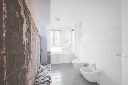 Mold removal new jersey